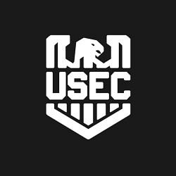 Свитшот хлопковый мужской Escape From Tarkov - USEC, цвет: черный — фото 2