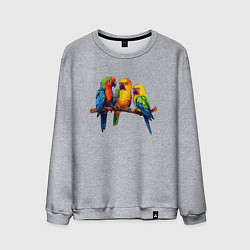 Свитшот хлопковый мужской Разговор попугаев, цвет: меланж