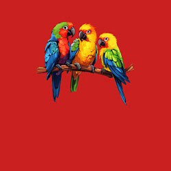 Свитшот хлопковый мужской Разговор попугаев, цвет: красный — фото 2