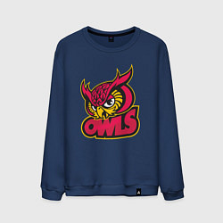 Мужской свитшот Team owls