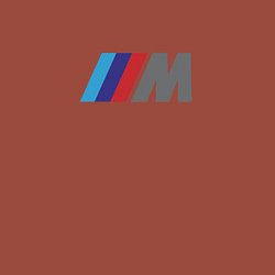 Свитшот хлопковый мужской BMW logo sport, цвет: кирпичный — фото 2