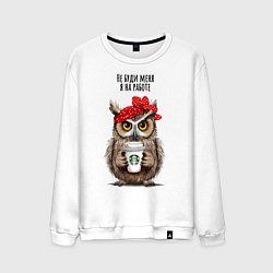 Свитшот хлопковый мужской Сова - не буди меня на работе, цвет: белый