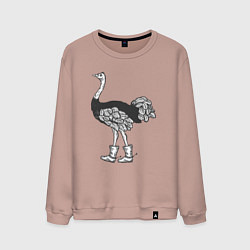 Свитшот хлопковый мужской Страус в сапожках, цвет: пыльно-розовый