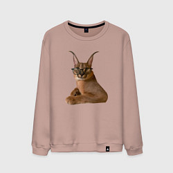 Свитшот хлопковый мужской Каракет кот Шлепа, цвет: пыльно-розовый