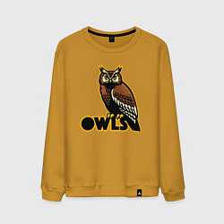 Свитшот хлопковый мужской Owls, цвет: горчичный