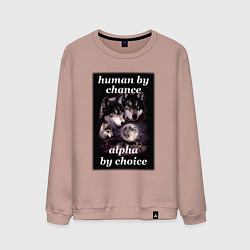 Свитшот хлопковый мужской Human by chance, alpha by choice, цвет: пыльно-розовый
