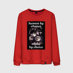 Свитшот хлопковый мужской Human by chance, alpha by choice, цвет: красный