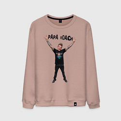 Свитшот хлопковый мужской Papa Roach - Jacoby, цвет: пыльно-розовый