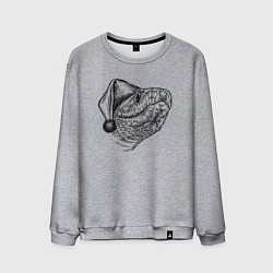 Свитшот хлопковый мужской Новогодний змей в колпаке, цвет: меланж