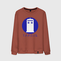 Мужской свитшот Blue tardis