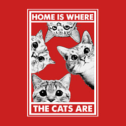 Свитшот хлопковый мужской Home is where the cats are, цвет: красный — фото 2