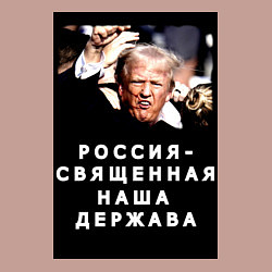 Свитшот хлопковый мужской Мем Трамп после покушения Россия держава, цвет: пыльно-розовый — фото 2