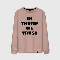 Свитшот хлопковый мужской In Trump we trust - slogan, цвет: пыльно-розовый