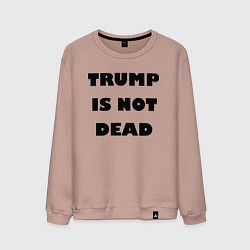 Мужской свитшот Trump is not dead - motto