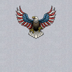 Свитшот хлопковый мужской Eagle - America, цвет: меланж — фото 2