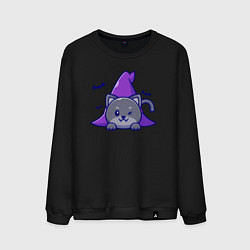 Свитшот хлопковый мужской Halloween kitty, цвет: черный