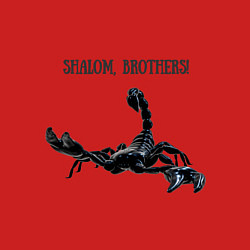 Свитшот хлопковый мужской Shalom, brothers - скорпион, цвет: красный — фото 2