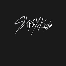 Свитшот хлопковый мужской Stray Kids металлик, цвет: черный — фото 2