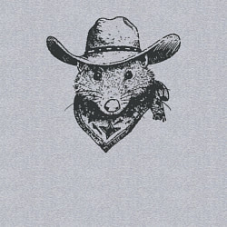 Свитшот хлопковый мужской Опоссум ковбой, цвет: меланж — фото 2