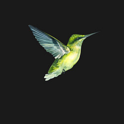 Свитшот хлопковый мужской Колибри зелёная, цвет: черный — фото 2