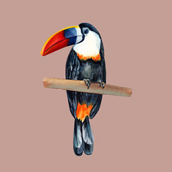 Свитшот хлопковый мужской Тукан на толстой ветке, цвет: пыльно-розовый — фото 2