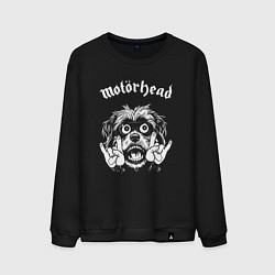 Свитшот хлопковый мужской Motorhead rock dog, цвет: черный