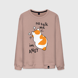 Мужской свитшот Не говори со мной - я злюсь