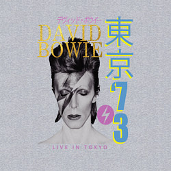 Свитшот хлопковый мужской David Bowie - Live in Tokyo 73, цвет: меланж — фото 2