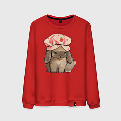 Свитшот хлопковый мужской Кролик в шапке, цвет: красный