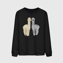 Свитшот хлопковый мужской Ламы, цвет: черный