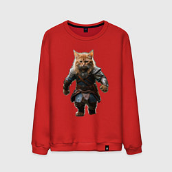 Свитшот хлопковый мужской Кот викинг, цвет: красный