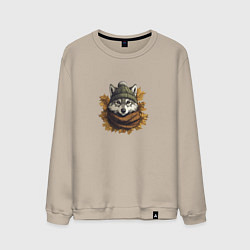 Свитшот хлопковый мужской Серый волк в шапке и шарфе, цвет: миндальный