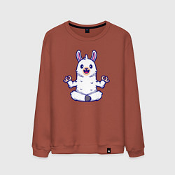 Свитшот хлопковый мужской Йога альпака, цвет: кирпичный