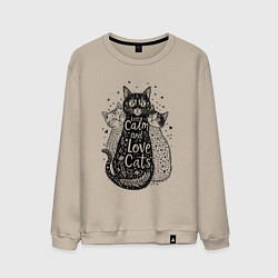 Мужской свитшот Keep calm and love cats