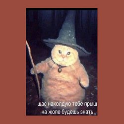 Свитшот хлопковый мужской Магический мяв кот-мем колдун, цвет: кирпичный — фото 2