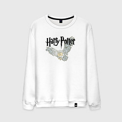 Свитшот хлопковый мужской Сова Гарри Поттера - Букля, цвет: белый