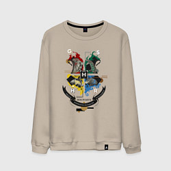 Свитшот хлопковый мужской Hogwarts School of Witchcraft and Wizardry, цвет: миндальный
