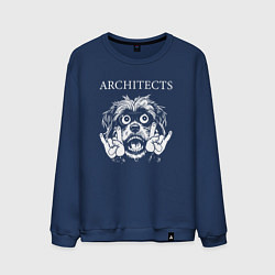 Мужской свитшот Architects rock dog