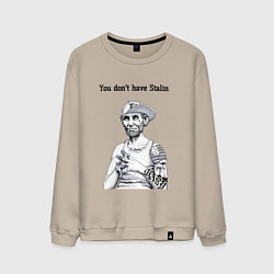 Свитшот хлопковый мужской You dont have Stalin, цвет: миндальный