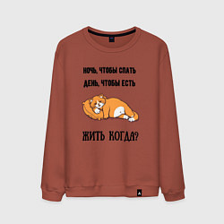 Свитшот хлопковый мужской Когда жить, цвет: кирпичный