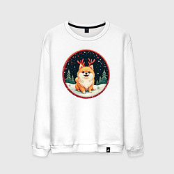 Свитшот хлопковый мужской Милый померанец с оленьими рожками, цвет: белый