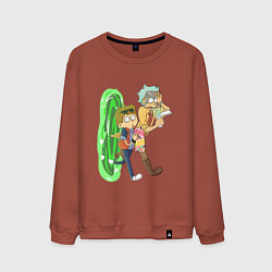 Свитшот хлопковый мужской Рик и морти назад в будущее, цвет: кирпичный