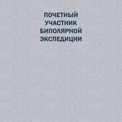 Свитшот хлопковый мужской Почетный участник биполярной экспедиции, цвет: меланж — фото 2