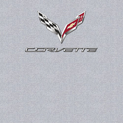 Свитшот хлопковый мужской Chevrolet Corvette - racing team, цвет: меланж — фото 2