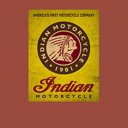 Свитшот хлопковый мужской Indian motorcycle, цвет: кирпичный — фото 2