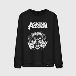 Мужской свитшот Asking Alexandria rock dog