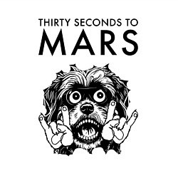 Свитшот хлопковый мужской Thirty Seconds to Mars - rock dog, цвет: белый — фото 2