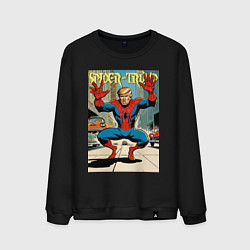 Свитшот хлопковый мужской Spider-Trump in New York, цвет: черный