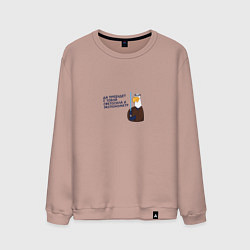 Свитшот хлопковый мужской Орел: да пребудет с тобой светосила и экспонометр, цвет: пыльно-розовый