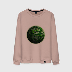 Свитшот хлопковый мужской Планета арт, зеленая, цвет: пыльно-розовый